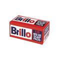 Cellucap 29404 PE 4 x 4 x 8 in. Brillo Hotel Size Soap Pad, 120PK 29404  (PE)